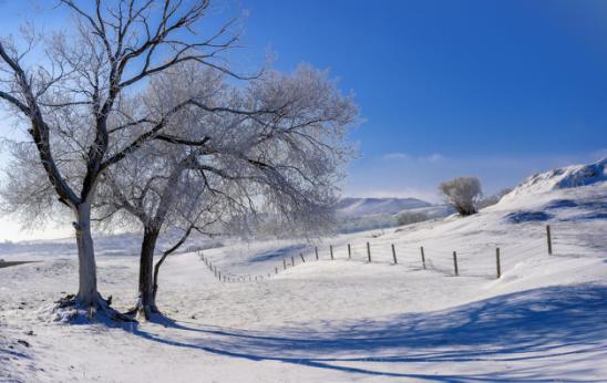 在万里雪飘中撒泼打滚,让你尽享魅力北国风光!